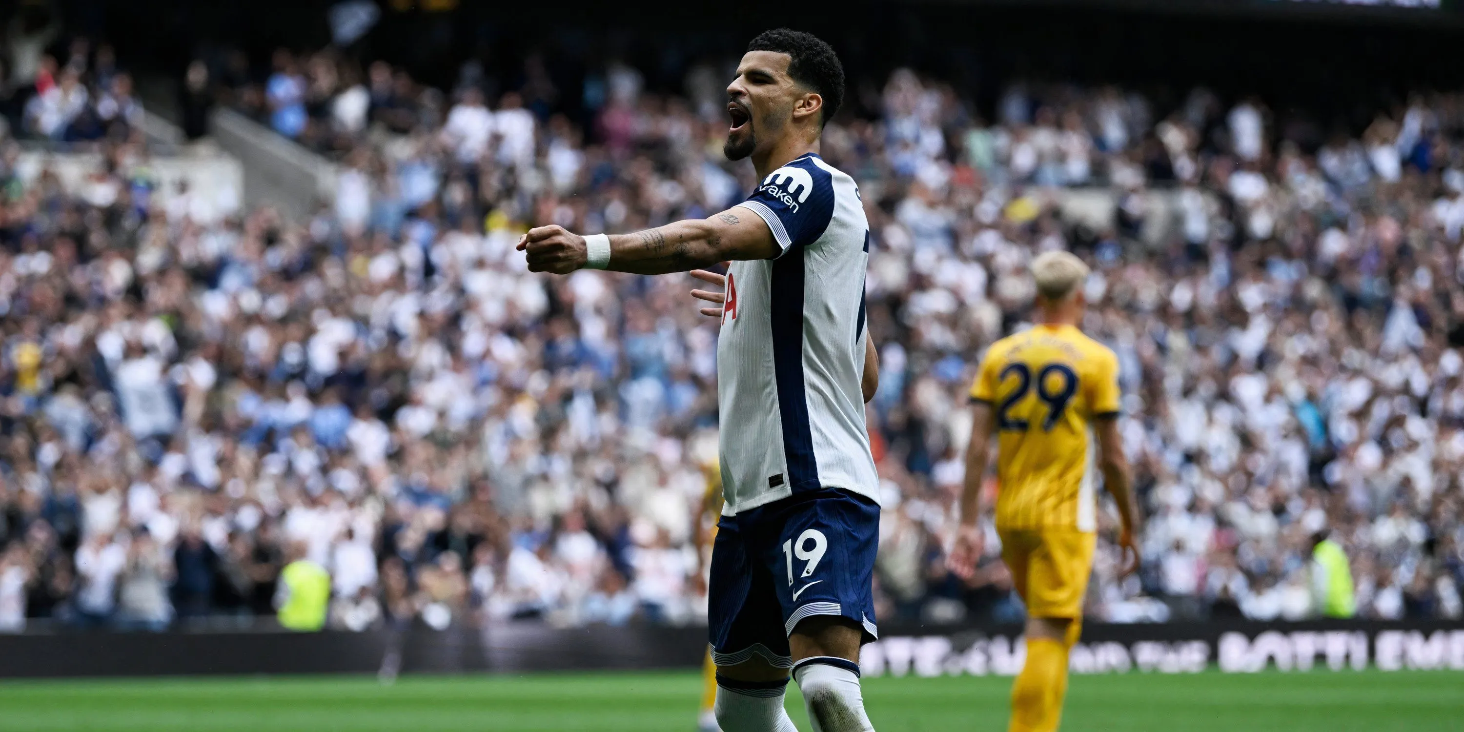 Dominic Solanke trong màu áo Tottenham